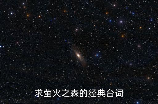 螢火之森經典臺詞，求螢火之森的經典臺詞