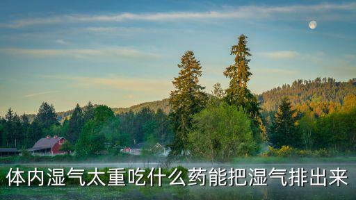 體內濕氣太重吃什么藥能把濕氣排出來