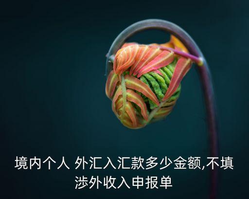 個人外匯,如何在銀行開立外匯賬戶?
