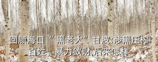 黑老大的退休生活,《老李》這部電影講述搶劫和黑財物故事