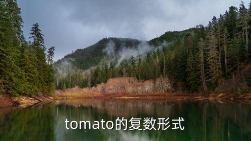 tomato復數，tomato的復數形式
