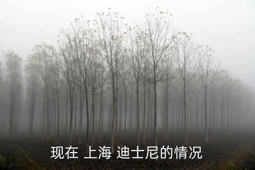 現在 上海 迪士尼的情況