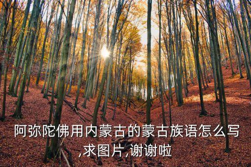  阿彌陀佛用內蒙古的蒙古族語怎么寫,求圖片,謝謝啦