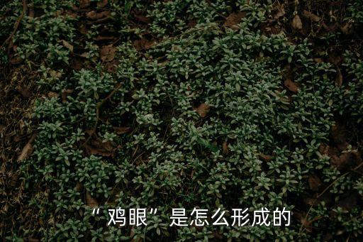 “ 雞眼”是怎么形成的