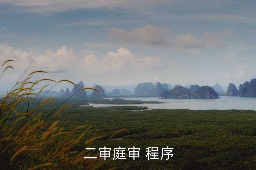  二審庭審 程序