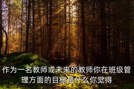 班主任工作目標(biāo)，作為一名教師或未來的教師你在班級管理方面的目標(biāo)是什么你覺得