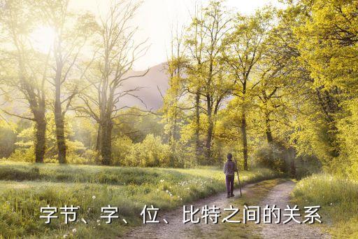 字和字節,1字節等于8位數字符合邏輯順序