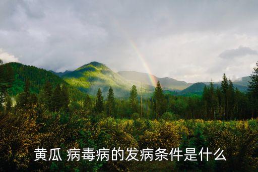  黃瓜 病毒病的發(fā)病條件是什么