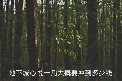 心悅會員地下城與勇士專區，地下城心悅一幾大概要沖到多少錢