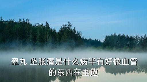 睪丸墜脹,男子睪丸墜脹一般見于精索靜脈曲張