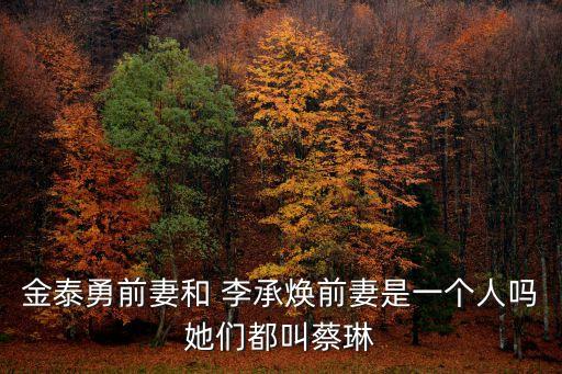金泰勇前妻和 李承煥前妻是一個人嗎她們都叫蔡琳