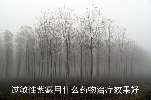 過敏性紫癜用什么藥物治療效果好