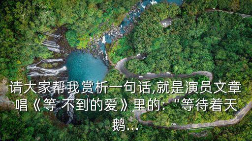 請大家幫我賞析一句話,就是演員文章唱《等 不到的愛》里的:“等待著天鵝...