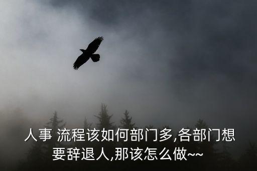  人事 流程該如何部門多,各部門想要辭退人,那該怎么做~~