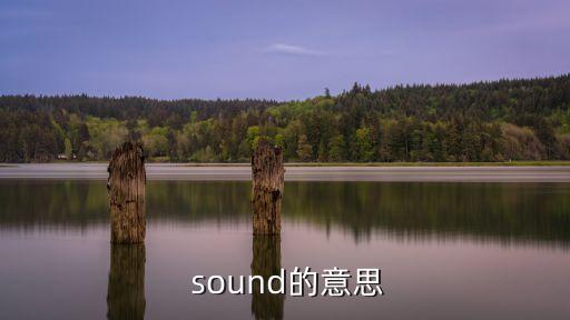  sound的意思