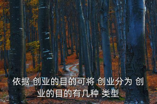 創業的類型,nn內部企業創業屬此類型創業