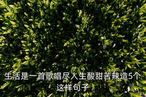 生活是一首歌唱盡人生酸甜苦辣造5個(gè)這樣句子