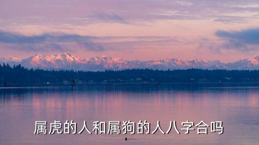 屬虎和屬狗的合不合,上吉,狗和老虎不合你好