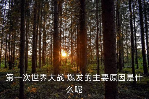 第一次世界大戰(zhàn) 爆發(fā)的主要原因是什么呢
