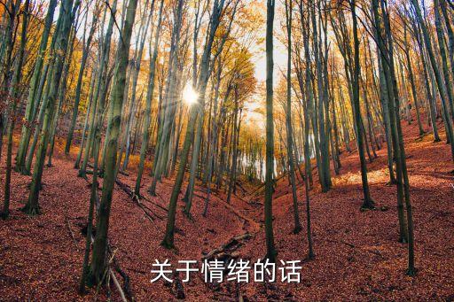 關(guān)于心情的句子，有關(guān)心情的精彩語(yǔ)段和名言