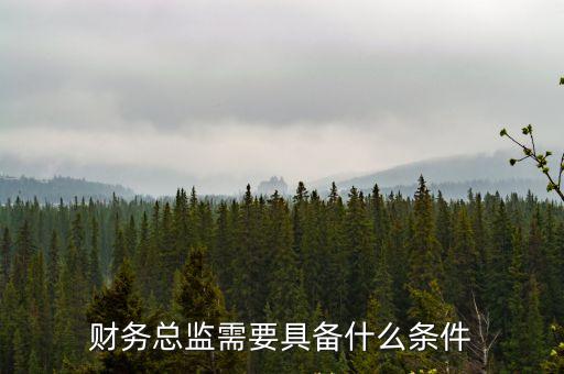 財務總監崗位要求，財務總監需要具備什么條件