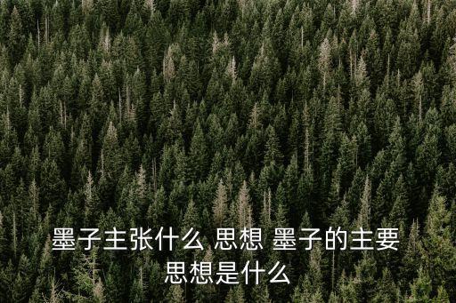  墨子主張什么 思想 墨子的主要 思想是什么