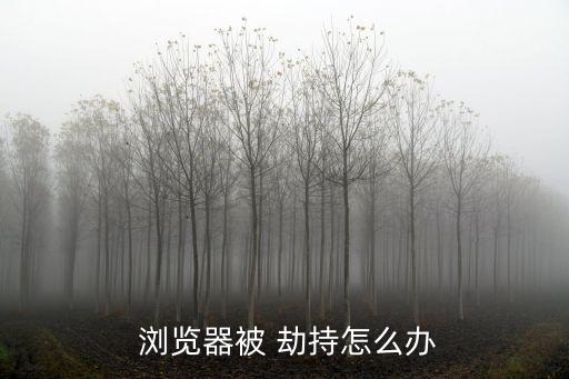  瀏覽器被 劫持怎么辦