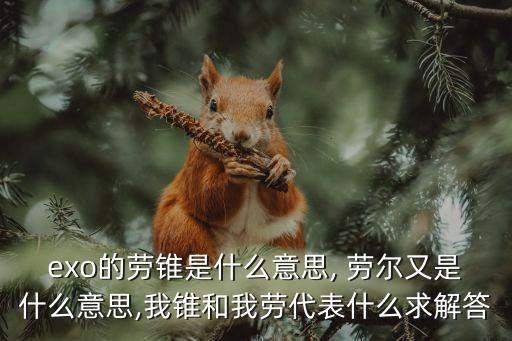 exo的勞錐是什么意思, 勞爾又是什么意思,我錐和我勞代表什么求解答