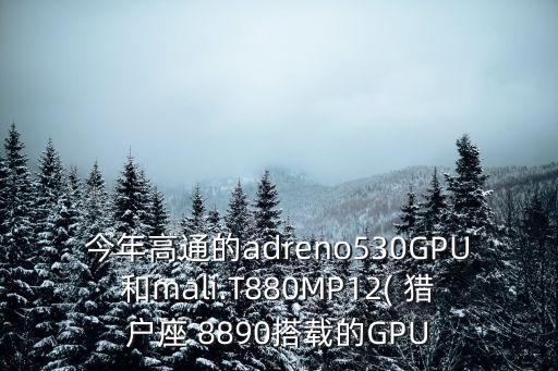 獵戶座8890,本地今天上市兩款國產芯片機型性能有何差別?