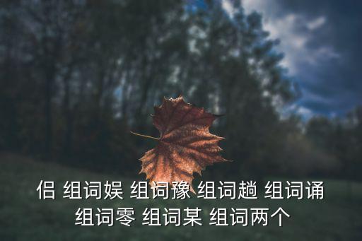 豫組詞,第二集:第二場選區競選廣播