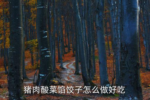 豬肉酸菜餡餃子怎么做好吃