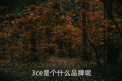  3ce是個(gè)什么品牌呢