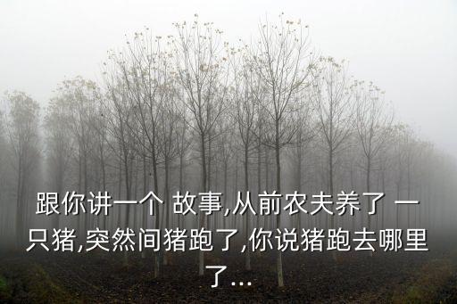 一只豬的故事,八戒調(diào)戲嫦娥誤投豬胎唐僧取經(jīng)腦筋急轉(zhuǎn)彎