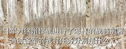 日軍為徐州作戰(zhàn)進行了怎樣的戰(zhàn)略部署當時各軍的戰(zhàn)時任務(wù)分別是什么...