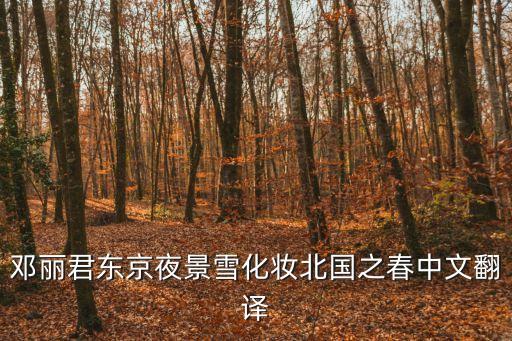 北國之春鄧麗君，鄧麗君 北國之春 的歌詞