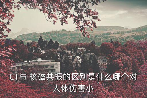 CT與 核磁共振的區(qū)別是什么哪個(gè)對(duì)人體傷害小