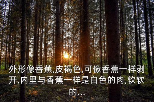 外形像香蕉,皮褐色,可像香蕉一樣剝開(kāi),內(nèi)里與香蕉一樣是白色的肉,軟軟的...