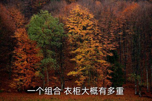 雙門衣柜,衣柜分布圖