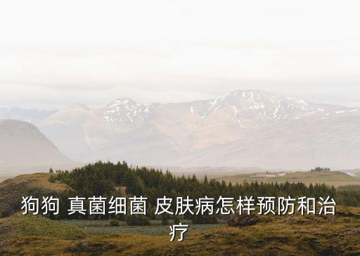 狗狗 真菌細(xì)菌 皮膚病怎樣預(yù)防和治療