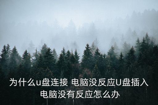 為什么u盤連接 電腦沒反應U盤插入 電腦沒有反應怎么辦