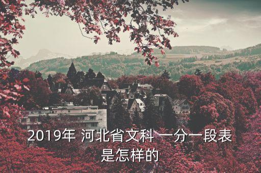 2019年 河北省文科 一分一段表是怎樣的