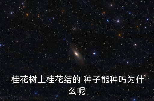  桂花樹上桂花結(jié)的 種子能種嗎為什么呢