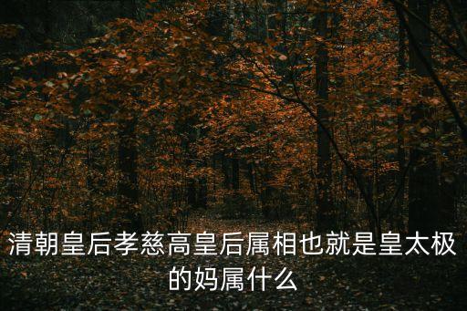 清朝皇后孝慈高皇后屬相也就是皇太極的媽屬什么