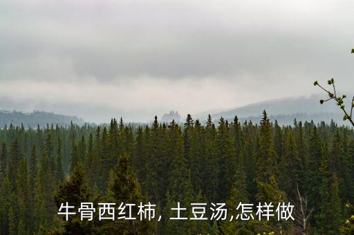 脊骨土豆湯,香農土豆牛骨湯2.5斤排骨連骨肉一起煮5小時
