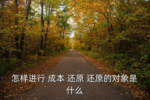 怎樣進行 成本 還原 還原的對象是什么