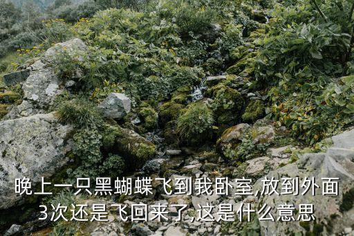 晚上一只黑蝴蝶飛到我臥室,放到外面3次還是飛回來了,這是什么意思