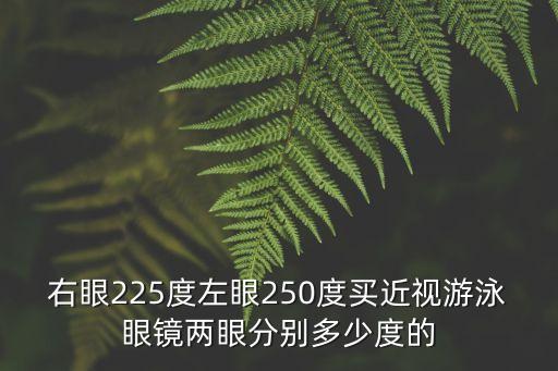 右眼225度左眼250度買近視游泳眼鏡兩眼分別多少度的