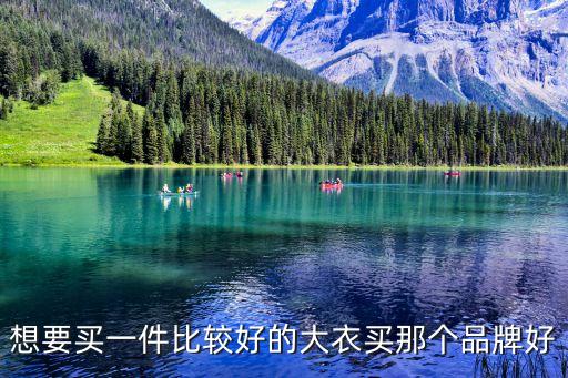 想要買(mǎi)一件比較好的大衣買(mǎi)那個(gè)品牌好