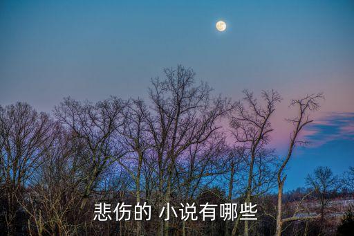悲傷的 小說有哪些