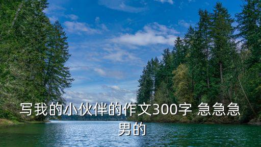 寫(xiě)我的小伙伴的作文300字 急急急 男的